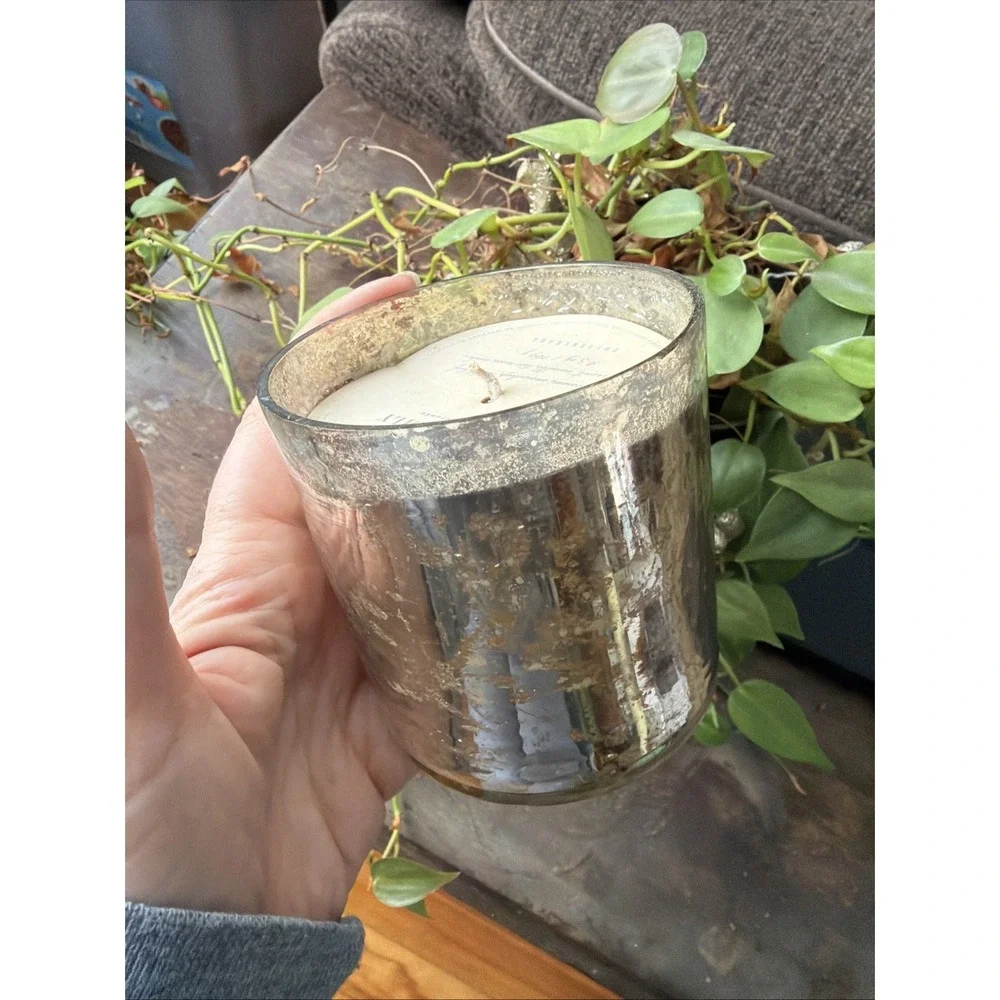 NEW Pottery Barn Winter Lily 9 Oz. Decorative Scented Candle Brand New Bougie